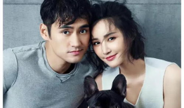 娱乐圈吃瓜爆料小兔子,小兔子吃瓜爆料大揭秘